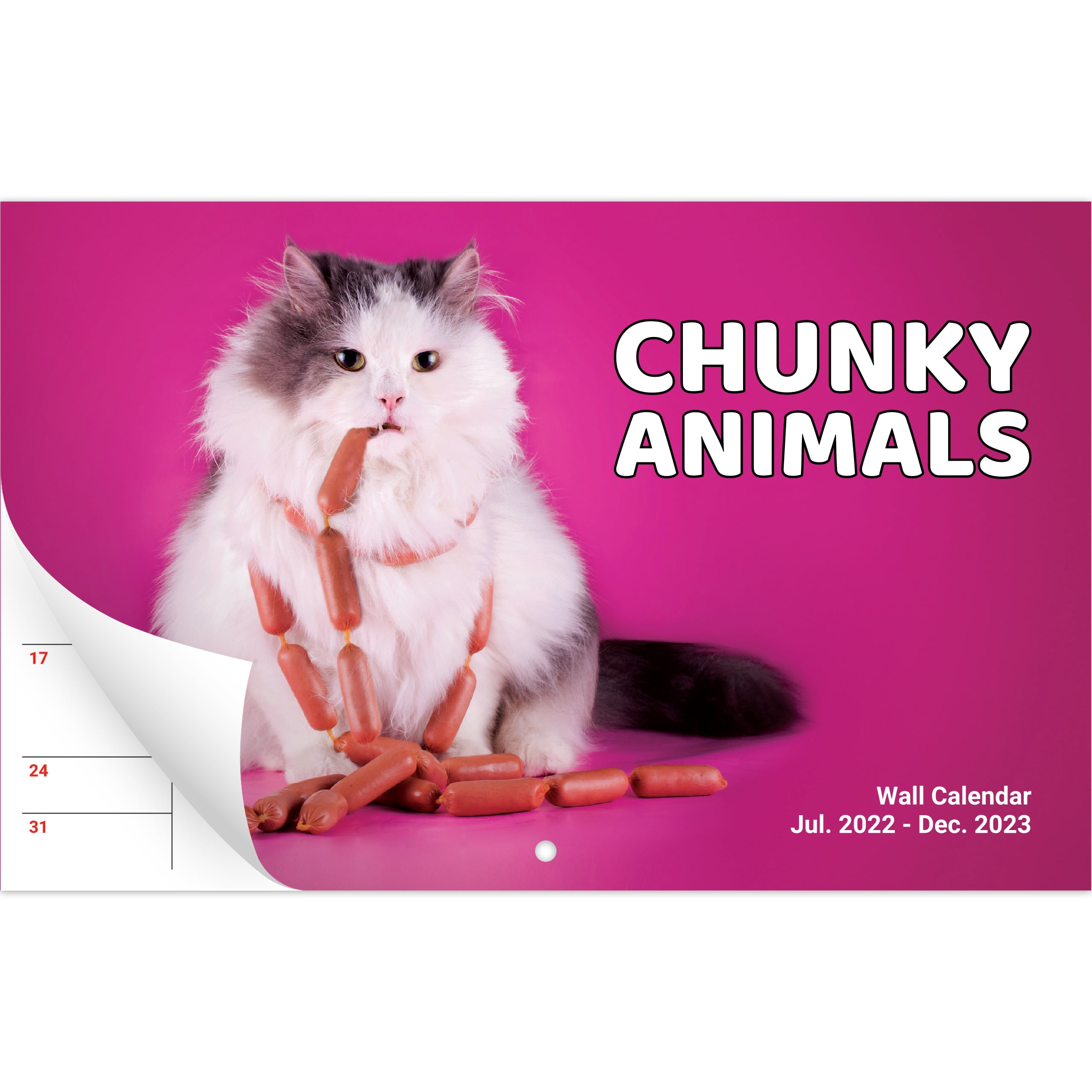 Trends International 2023 Hello Kitty Mini Wall Calendar - Walmart.com