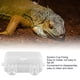 thumbnail image 3 of Reptile Gecko Feeder Dish Bowl Worm Anti Escape Bowl Ventosa Alimentador para Reptiles Jaula Accesorios para Dragón Barbudo Gecko Camaleón Serpiente Tortuga ANGGREK Otros, 3 of 8