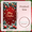 3A, variant on Red Bow Christmas Archway Holiday Decor Candy Cane for Winter Wonderland Outdoor Celebration Family Gathering