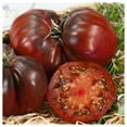 thumbnail image 4 of Everwilde Farms - 50 Black Krim Heirloom Tomato Seeds - Gold Vault Seed Packet, 4 of 5