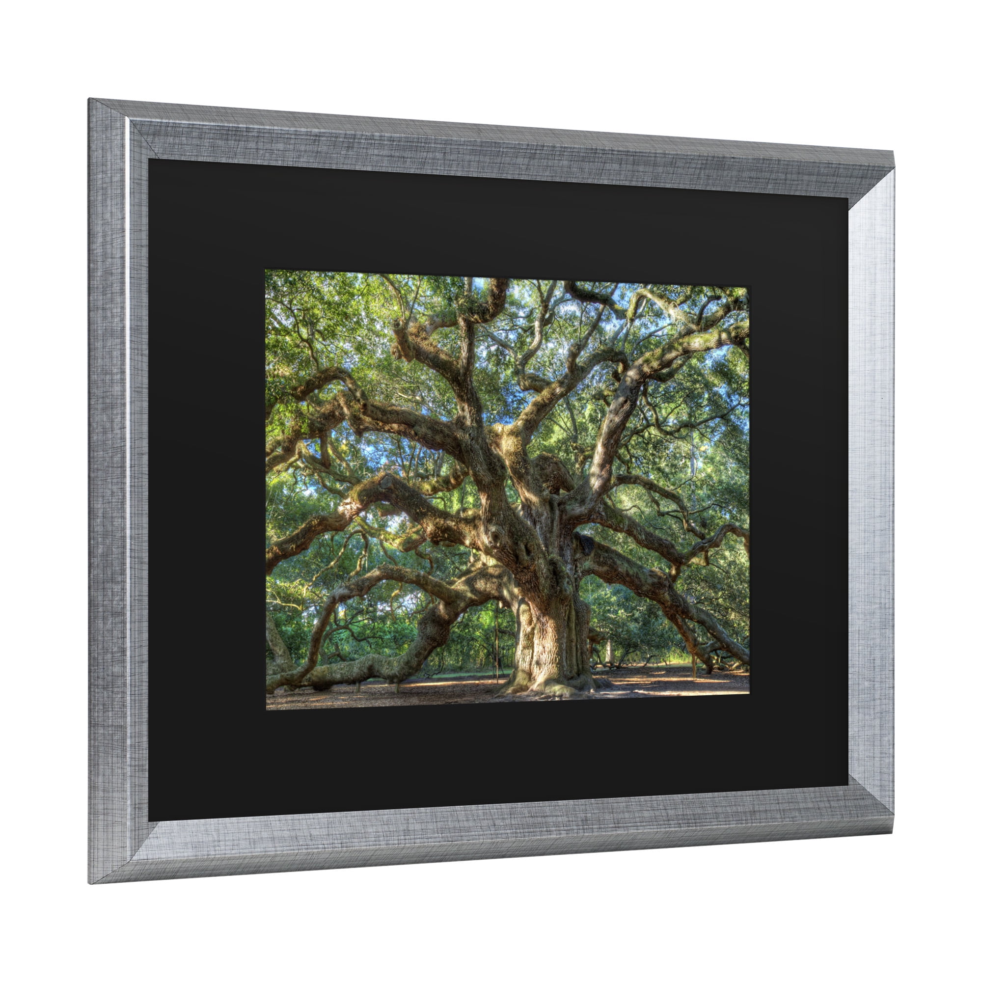 Trademark Fine Art 'Angel Oak Charleston' Canvas Art by Pierre Leclerc