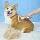 thumbnail image 5 of Herramienta Para Eliminar El Pelo De Mascotas Peine Doble Desenredante Para Gatos Y Perros Peine De Acero Inoxidable Para Eliminar El Pelo Peine Para Gatos Eliminador De Pelo De Mascotas Herramien, 5 of 8