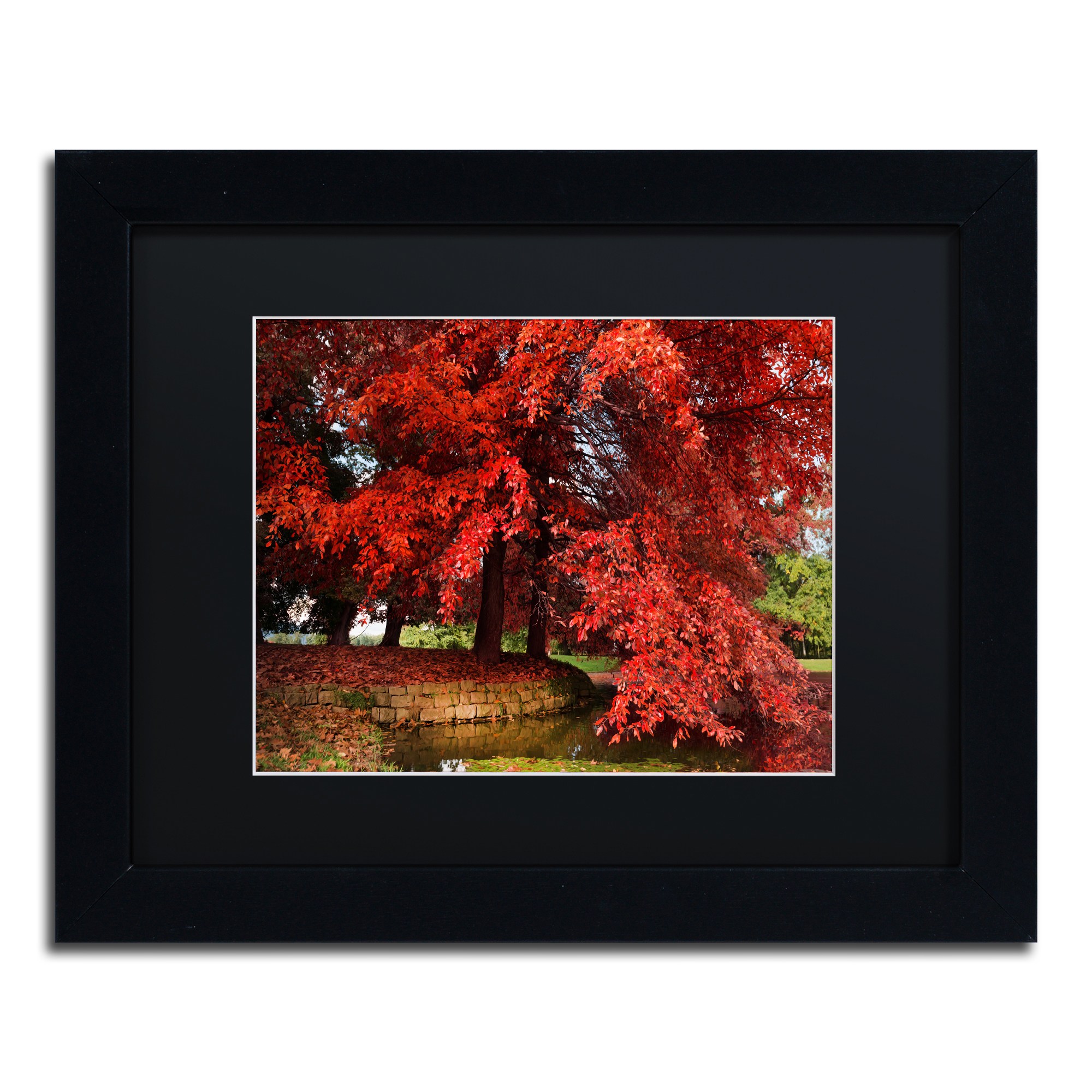 Trademark Fine Art "October" Canvas Art by Philippe Sainte-Laudy Black Matte, Black Frame