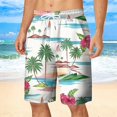 thumbnail image 5 of Caqnni Men's Swim Trunks Quick Dry Beach Shorts (Green,XL), 5 of 5