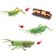 thumbnail image 3 of Juguetes en miniatura Zulema Ciclo de crecimiento Animal 2 piezas, 3 of 8