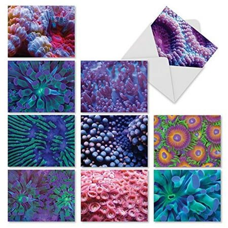 'M2103 UNDER THE SEA' 10 Assorted Thank You Note Cards Featuring Colorful Close-Ups of Sea Anemones with Envelopes by The Best Card (Best Graphics Card Under 200 Australia)