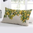 thumbnail image 5 of Summer Lemon Throw Pillow Covers, Green Botancial Summer Yellow Fruits Rustic Soft Breathable Pillow Cases with Invisible Zipper for Sleeping, Body Pillowcases for Couch Bed Sofa Chair 24x36 Inches, 5 of 6