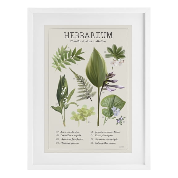 Stupell Industries Rustic Lodge Herbarium Woodland Shade Collection White Framed Print Under Glass, 17 x 23, by House Fenway