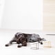thumbnail image 4 of Comedero y Bebedero Navaris Acero Inoxidable Elevados para Mascotas perros gatos, 4 of 7
