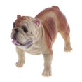 thumbnail image 4 of Paquete de 5 s de vívidas, juego de juguete de modelo de animal de para pequeños para el aprendizaje de la cienc Zulema Figuras de animales de juguete, 4 of 8