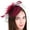 Wine red, variant on Yokua Feather Fascinator Women Fascinator Headband Veil Tea Party Derby Pillbox Hat