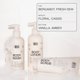 thumbnail image 5 of Champú de queratina Botanic Hearth - con aceite de argán, colágeno y biotina - Mejor para cabello seco dañado, gaseoso y tratado con color - Engrosamiento del cabello y sin sulfato - 16 onzas líquidas, 5 of 5