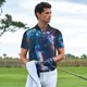 thumbnail image 3 of Balery Crystal Pattern White Horse Camisa Polo de Hombre con Estampado, de Manga Corta y Tejido Medio, Camisa Tipo Golf Polo-3X-Large, 3 of 6