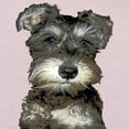 thumbnail image 3 of CafePress - Miniature Schnauzer Toddler T Shirt - Cute Toddler T-Shirt, 100% Cotton, 3 of 4