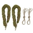 thumbnail image 1 of Varilla De Planta De Musgo, Brinda Soporte Poste De Musgo Para Vid ANGGREK Otros, 1 of 8