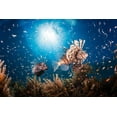 thumbnail image 2 of Gabriel, Barathieu 24x17 White Modern Wood Framed Museum Art Print Titled - Lionfish, 2 of 4