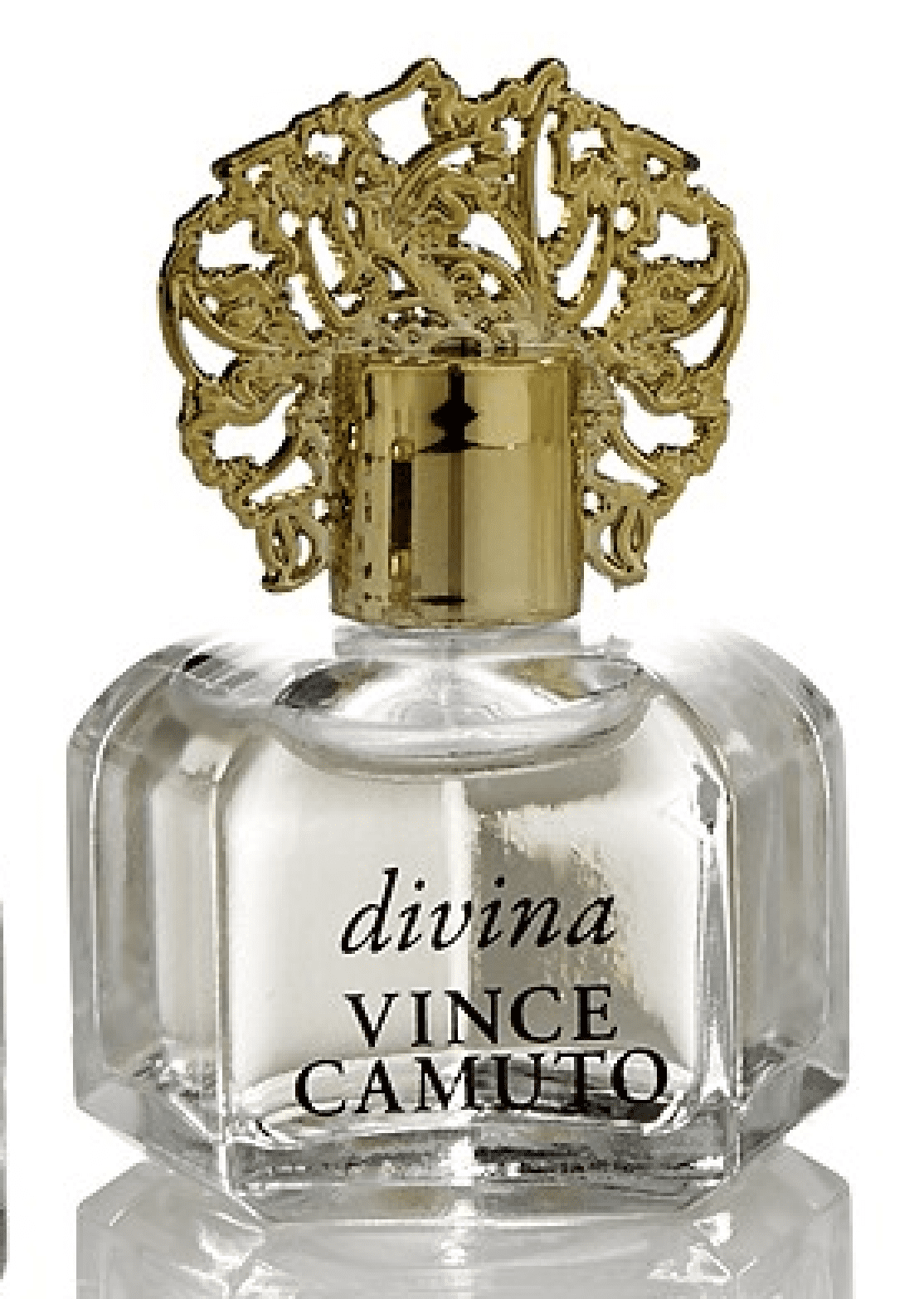 vince camuto splash