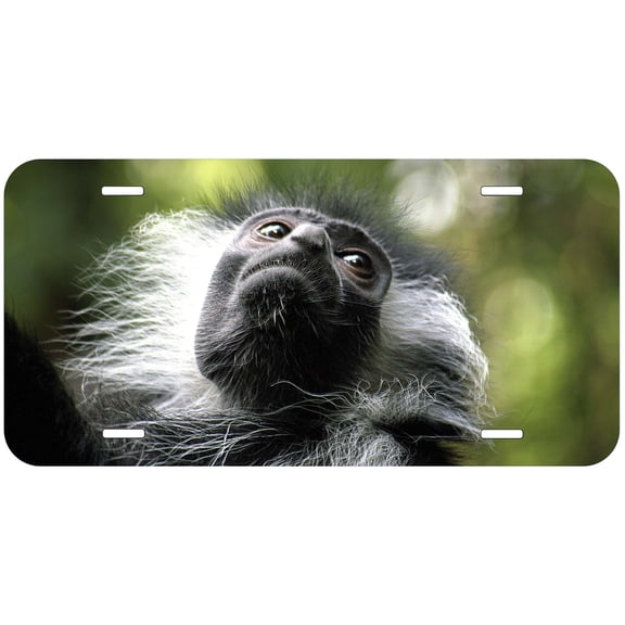 Monkey TAG14 Novelty Car Auto License Plate