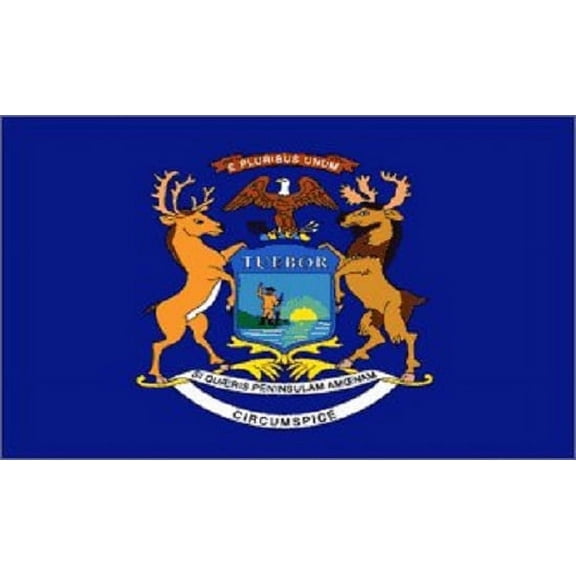 Michigan Flag MI State Banner Pennant 3x5