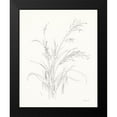 thumbnail image 2 of Nai, Danhui 15x18 Black Modern Framed Museum Art Print Titled - Nature Sketchbook V, 2 of 5