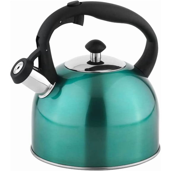 Visualz Stainless Steel Tea Kettle, Hot Water Kettle with Whistle Spout, Fast Boiling, Ergonomic Handle, 2.4-Quart, Teal