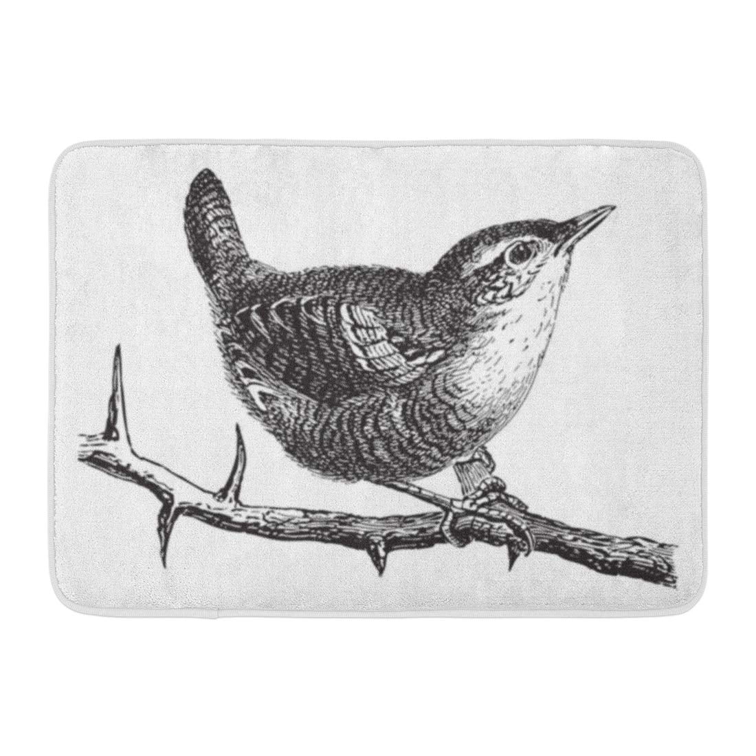 GODPOK Black Bird Wren Troglodytes Parvulus Vintage from Meyers Konversations Lexikon 1897 White Engraved Rug Doormat Bath Mat 23.6x15.7 inch