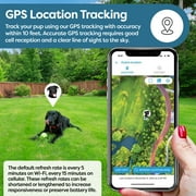 Wagz® Freedom Smart Dog Collar™, the Shock-Free Wireless Fence & Wellness System, Virtual Geofences, GPS Location & Activity/Health Tracking
