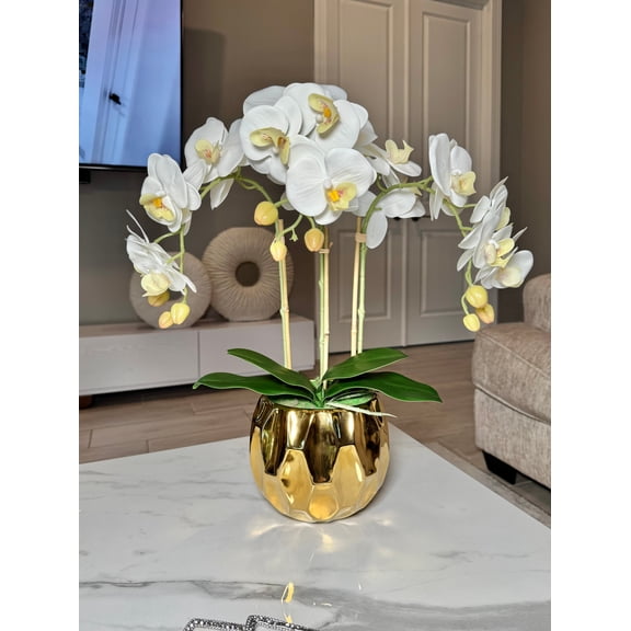 Amira Large Real Touch Phalaenopsis Orchid Floral Arrangement in Round Ribbed Gold Vase