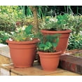 thumbnail image 2 of Bloem 20-56108 Fiskars Ariana 8" Round Terra Cotta Plant Planter with Self-Watering Grid, 2 of 7