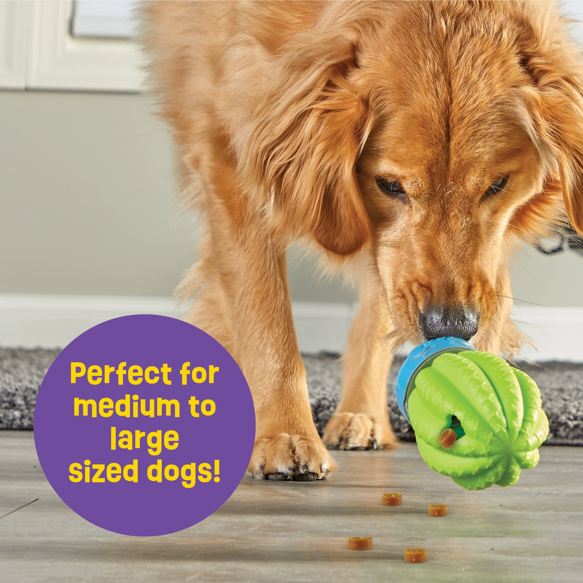 Brightkins Cactus Surprise Dog Puppy Treat Dispenser Dog Birthday Toy Interactive Food Dispenser