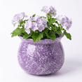 thumbnail image 5 of EFISPSS Hand-Patted Glaze Self Watering Ceramic Planter with Inner Clay Pot, 6 Inch Lavender Purple African Violet Pots, Easy Care Indoor Plant Pot, Home Decor, 5 of 8