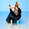 thumbnail image 2 of WinterProof PolarPup Dog Parka Puffer Jacket, 2 of 11