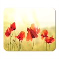 thumbnail image 1 of JSDART Red Flower Poppy Meadow Sky Sun Sunshine Bouquet Cluster Full Mousepad Mouse Pad Mouse Mat 9x10 inch, 1 of 1