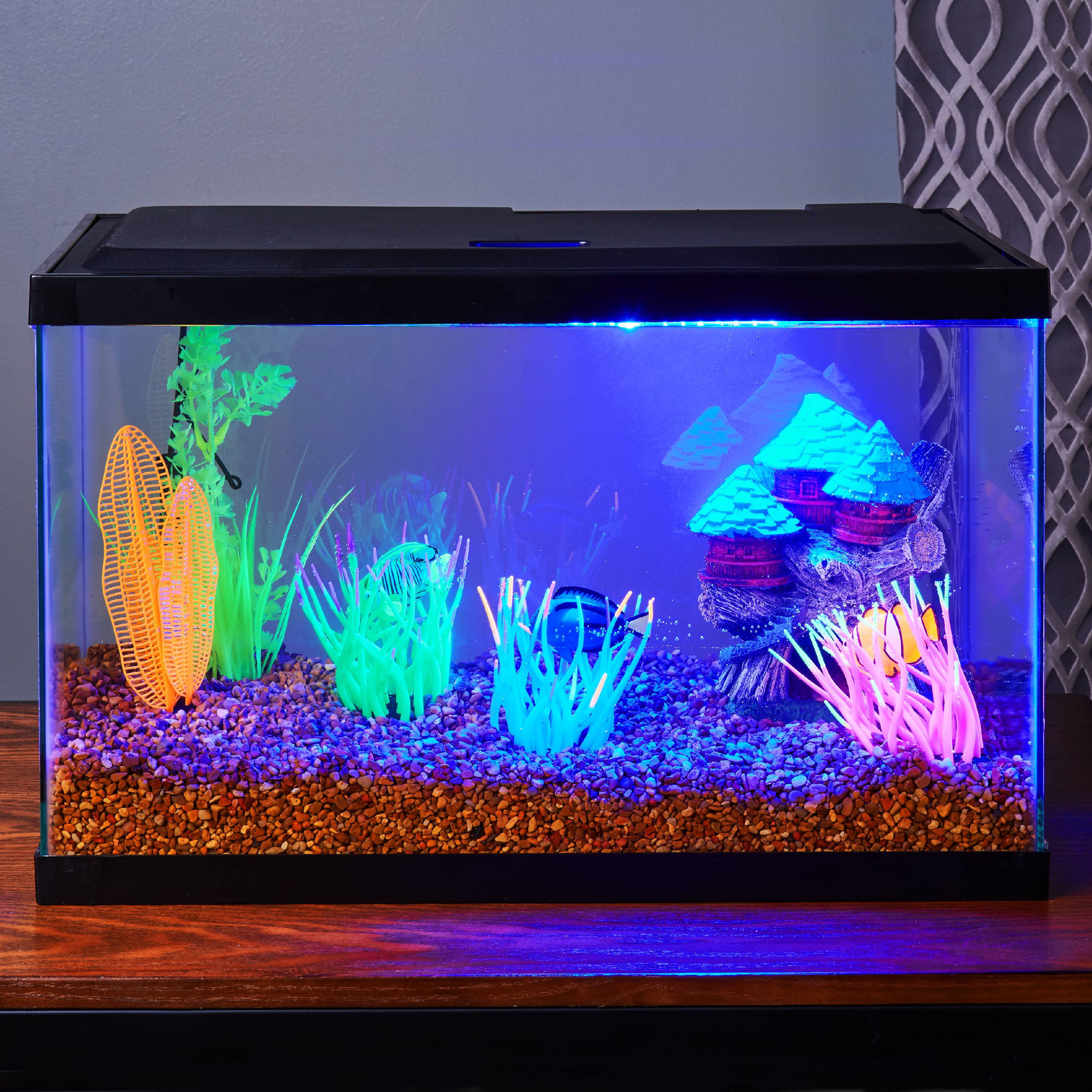 10 Gallon Glass Fish Tank Aquarium Terrarium Pet Reptiles