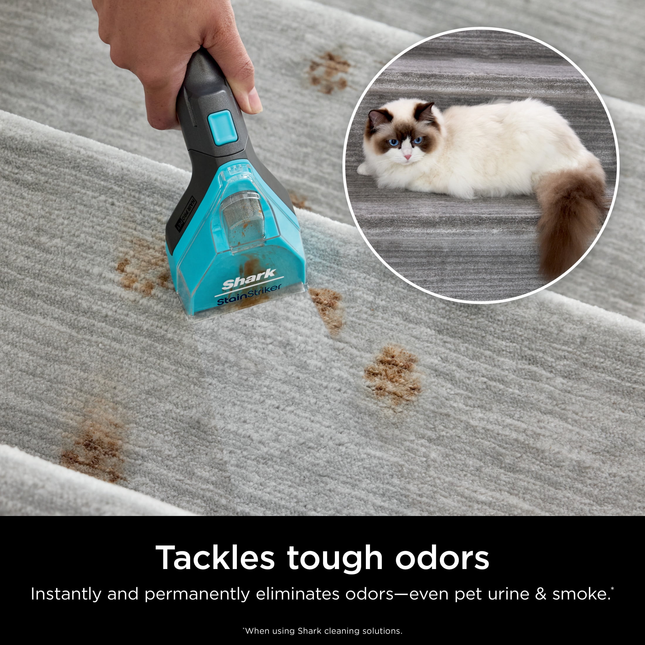 (4 pack) Shark Deep Clean Pet Formula 48 oz for Upright & Portable Carpet Cleaners