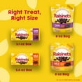thumbnail image 5 of Raisinets, Dark Chocolate Covered California Raisins, Resealable Bag, 8.0 oz, 5 of 9