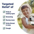 thumbnail image 3 of Boiron AllergyCalm Kids Pellets for Relief from Allergy and Hay Fever Symptoms of Sneezing, Runny Nose, and Itchy Eyes or Throat - 240 Count, 3 of 3
