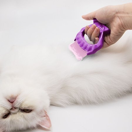 Fashionhome Pet Comb Plastic Massage Bending Shell Brush Animal Massager Knots Removal Grooming Tool Purple Walmart Canada
