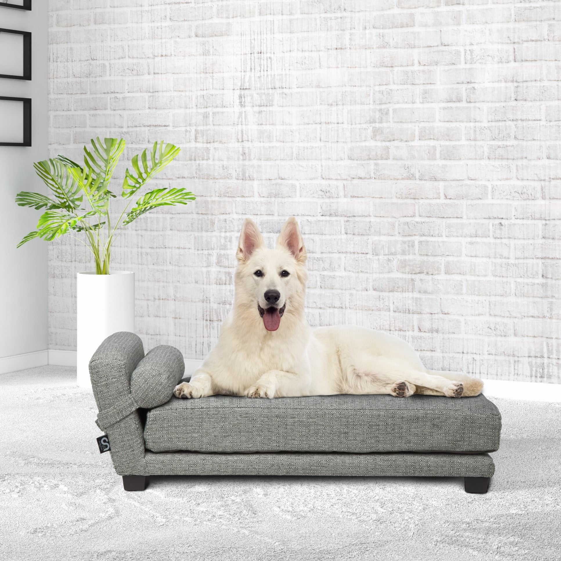 Club Nine Pets Metro Orthopedic Dog Bed, Medium, Oatmeal