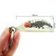 thumbnail image 2 of Llavero de insectos brillantes, llavero de especímenes de animales, regalo coleccionable de resina para amigos y familiares, 2 of 4