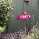 thumbnail image 3 of Alimentador De Pájaros Estacas De Flores De Metal Hermosa Bandeja De Semillas De Pájaros De Coneflower Rosa Para Decoración De Jardín Al Aire Libre Cateissary PT002516-01, 3 of 6
