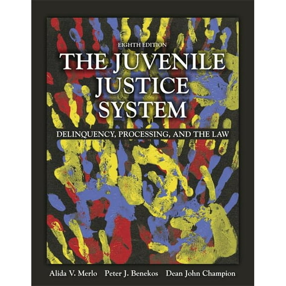 Pre-Owned The Juvenile Justice System: Delinquency, Processing, and the Law Paperback - USED