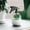 White, variant on Spray Bottles, Refillable Spray Bottle Inventive Bottles in Cactus Style with Cute and Cartoonish Figures- Plant Mister For Misting, Planting,Beauty Tool Or Gardening