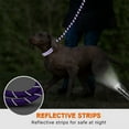 thumbnail image 6 of Taglory Rope Dog Leash with Comfortable Padded Handle, 5ft Reflective Dog Leash, Purple, 6 of 7