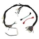 thumbnail image 1 of Arnes Electrico RODA Italika FT 150 G Negra 12V, 1 of 5
