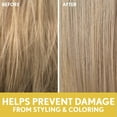 thumbnail image 6 of Aveeno Sunflower Oil Blend Moisturizing Nourishing Daily Shampoo, Red Currant Sugared Peony Vanilla, 12 fl oz, 6 of 9