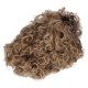 thumbnail image 1 of Women Hair Short Curl Wigs Adjustable High Temperature Synthetic Hair Female Short Hair Wigs for Daily Use, 1 of 5