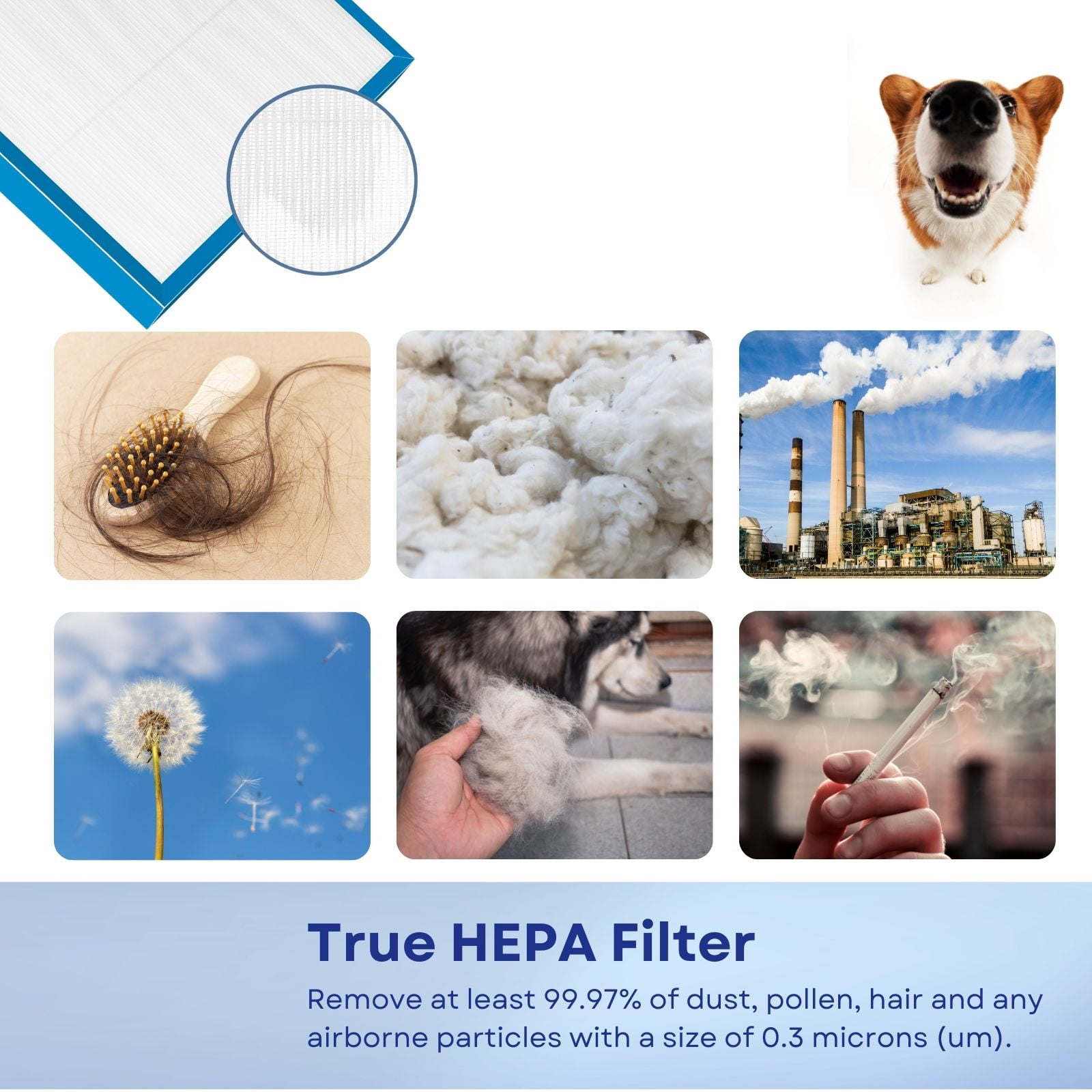 Nispira AF-20FL AP-25CRF AF-25 True HEPA Filter Compatible with HoMedics AP-20 AP-25 AR-20 AF-25FL Total Clean Air Purifiers, 1 Pack