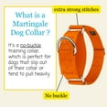 thumbnail image 4 of Country Brook Petz® 1 1/2 inch Orange Martingale Heavyduty Nylon Dog Collar, Large, 4 of 6