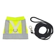 thumbnail image 1 of Primegos Bird Flight Harness Vest Parrot Suit with Leash Reflective Vest Bird Clothes for Cockatiels Conures Budgies Parrot Flying Training Clothes Leash Set, 1 of 7